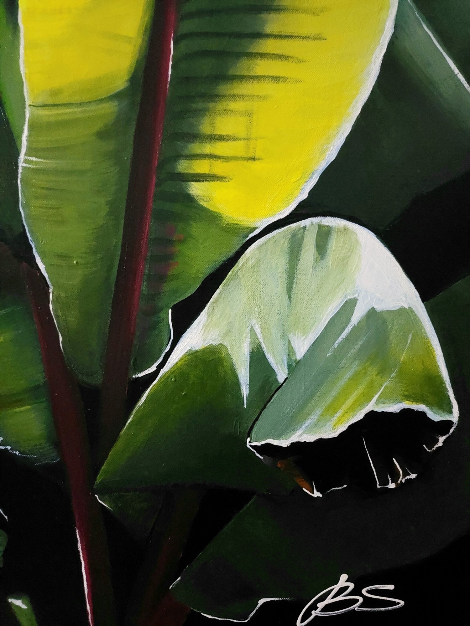 Benedict Serrano | Abyssinian Banana (2021) | Available for Sale ...