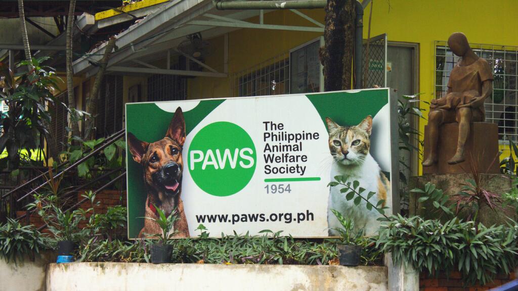 Philippine Animal Welfare Society (PAWS)